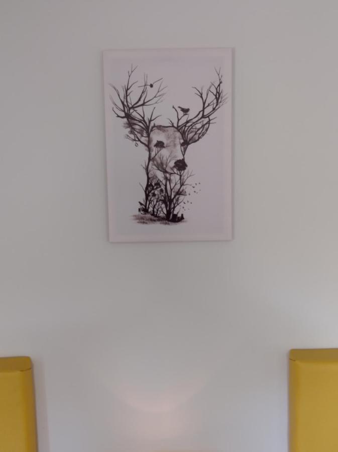 Glenn Eireann House Bed and Breakfast Cushendall Eksteriør billede
